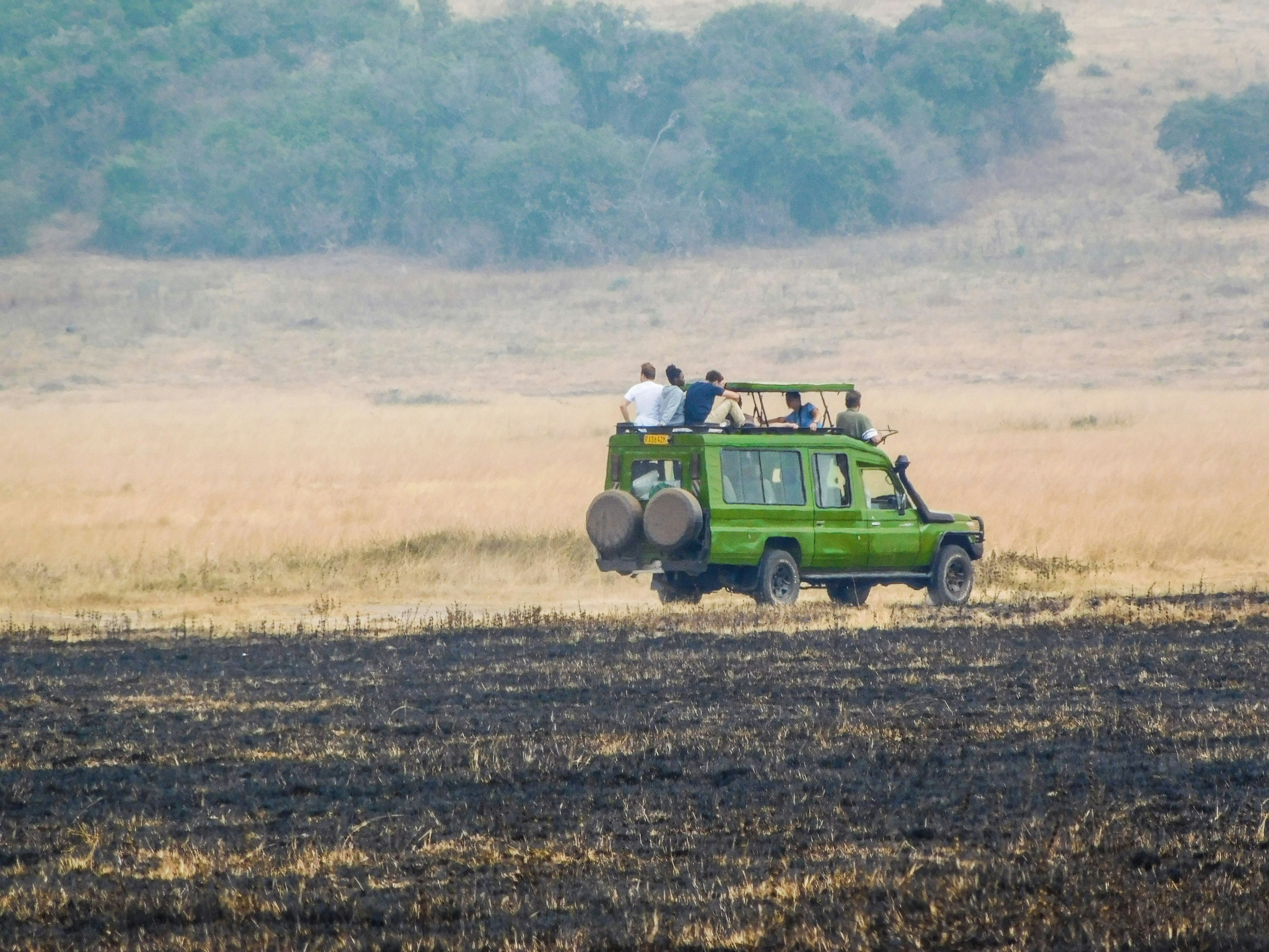 Akagera safari
